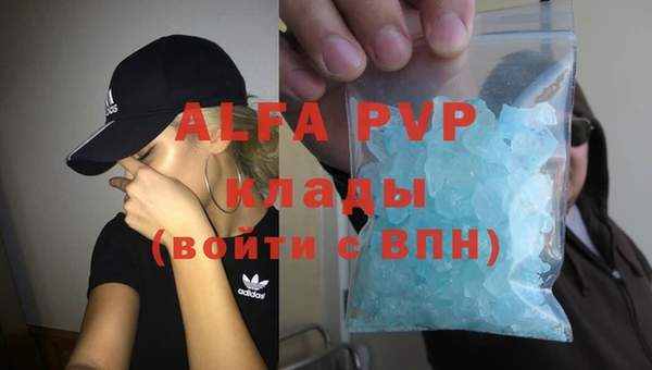 индика Алексеевка