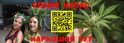 трава Ставрополь