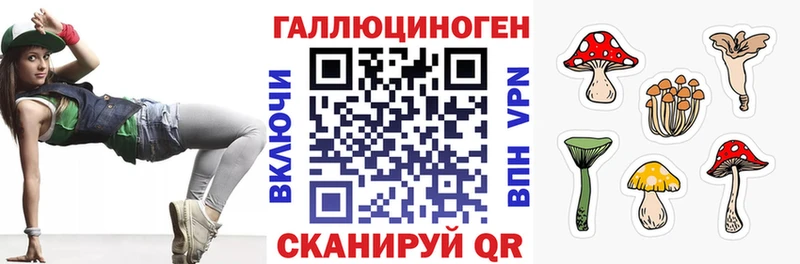 где продают   Биробиджан  blacksprut зеркало  Галлюциногенные грибы MAGIC MUSHROOMS 
