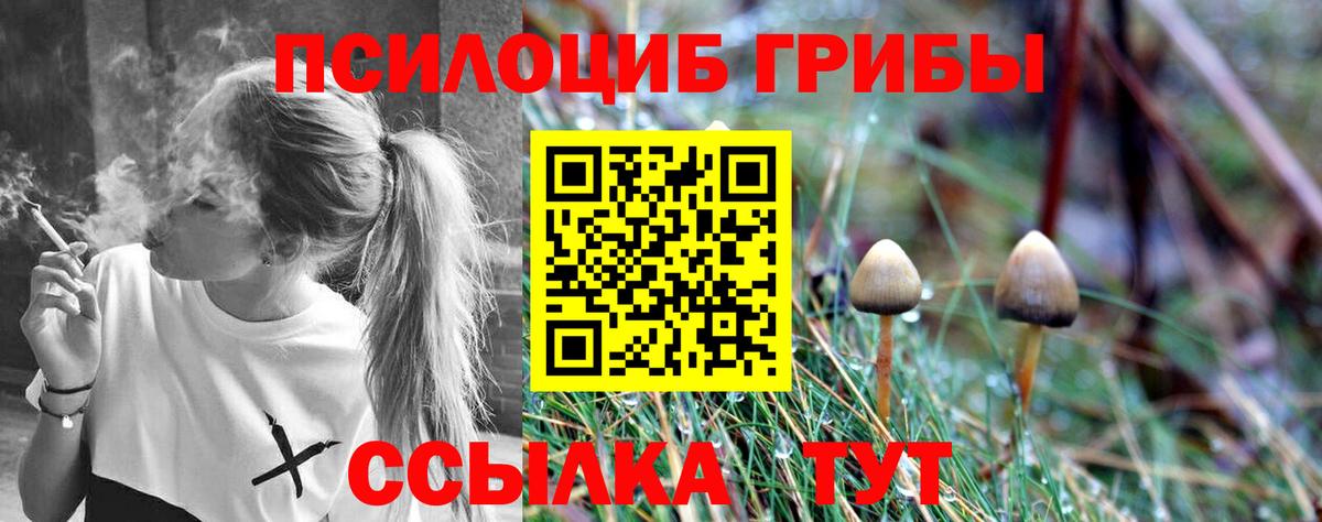 Псилоцибиновые грибы мухоморы  Галлюциногенные грибы Psilocybe  Биробиджан  даркнет сайт  Вход с VPN 