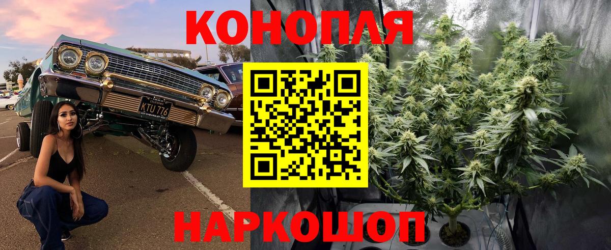 Бошки Шишки OG Kush  Марихуана сатива  Биробиджан  Бошки марихуана SATIVA & INDICA  Вход с VPN 
